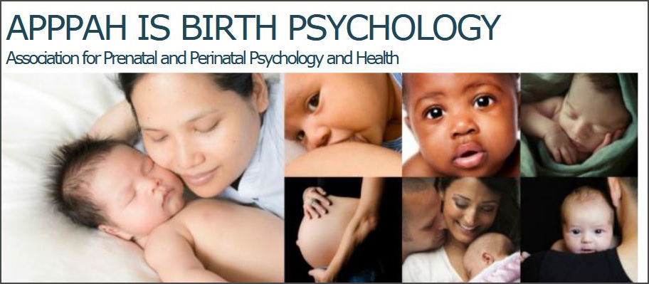 What is pre and perinatal psychology and why it is important to human development?